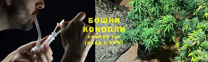 Бошки марихуана Bruce Banner  Бийск 